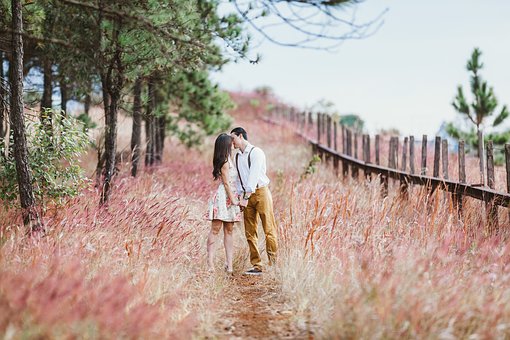 免费征婚网