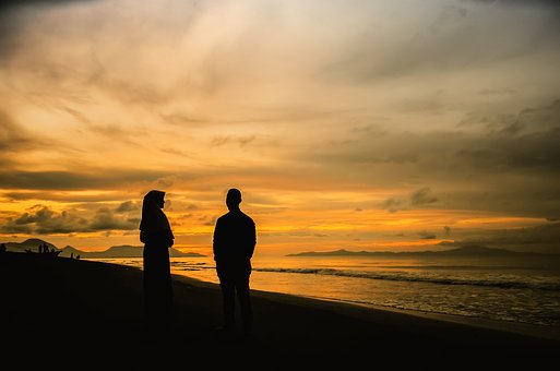 婚恋网
