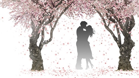 成都遇上想遇：婚恋交友中男生怎样才能更显诚意？